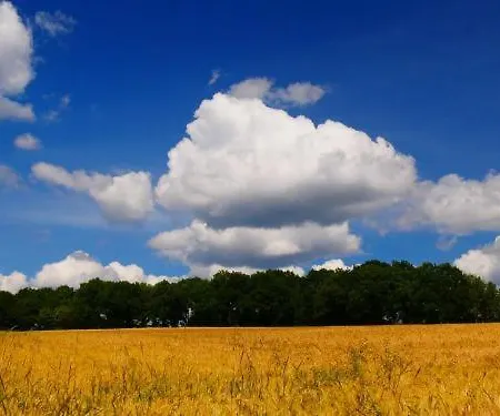 アパート Bei Pina - Schoene Nahe Duesseldorf ゾーリンゲン