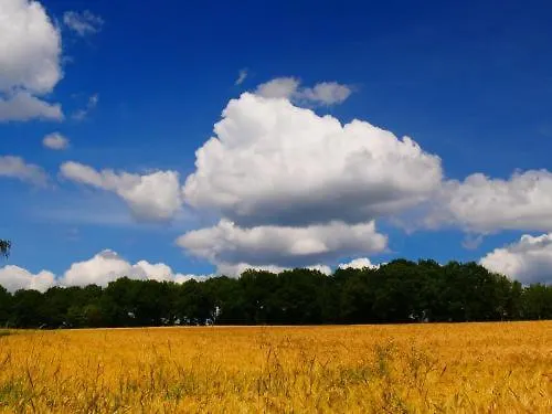 Appartement Bei Pina - Schoene Nahe Duesseldorf Solingen