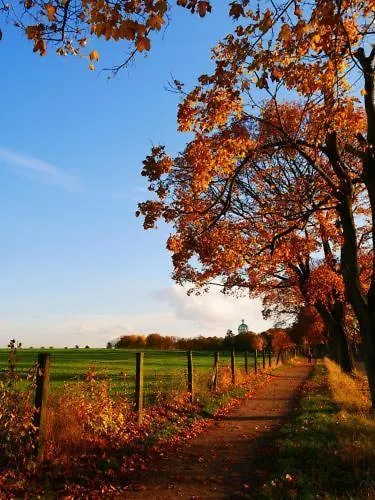 Bei Pina - Schoene Nahe Duesseldorf Solingen